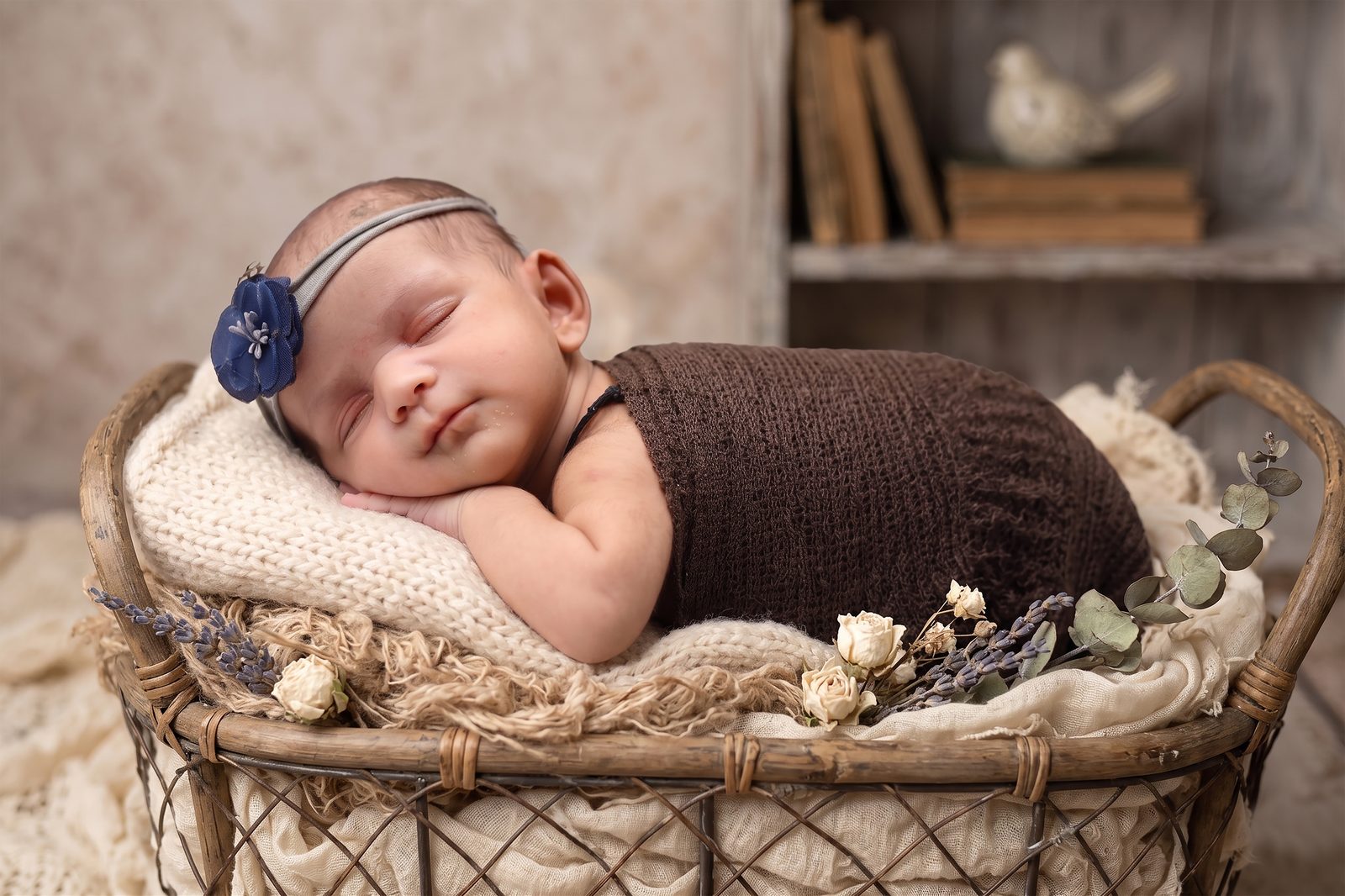 Suvij Kids Photography — Portrait Session